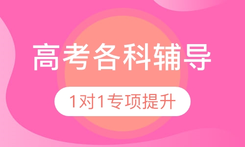 高考各学科1对1专项课程