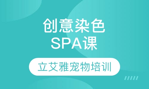 创意染色、SPA课