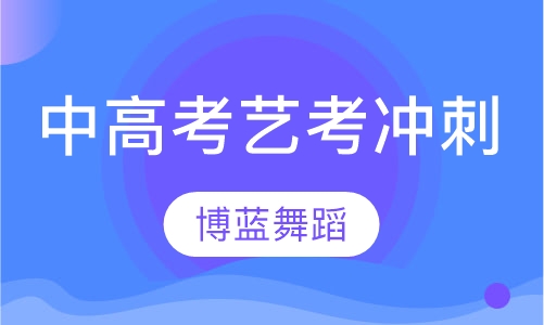 中高考艺考冲刺