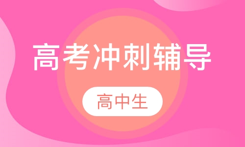 高考冲刺一对一全科辅导