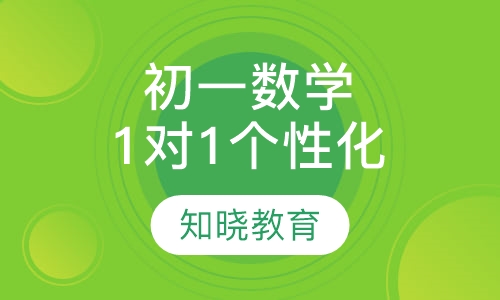 初中一年级数学 1对1个性化辅导