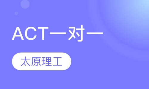 ACT一对一