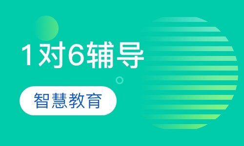 1对6辅导