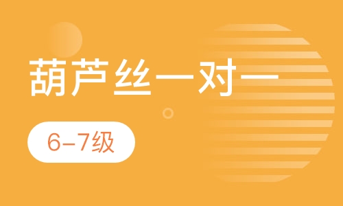 葫芦丝一对一  6-7级