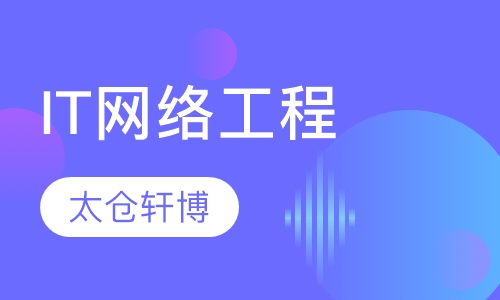 IT网络工程计算机