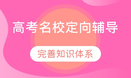 高考名校定向辅导