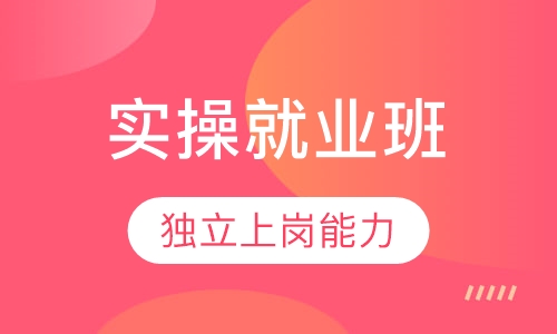 （零基础）金牌实操就业班