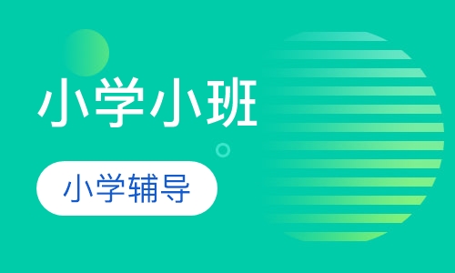 小学小班辅导