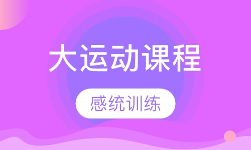 大运动课程