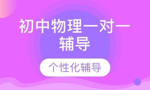 初中物理一对一辅导