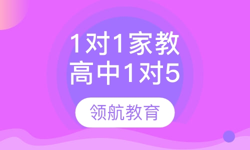 1对1家教高中1对5