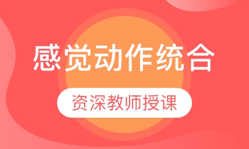 感觉动作统合