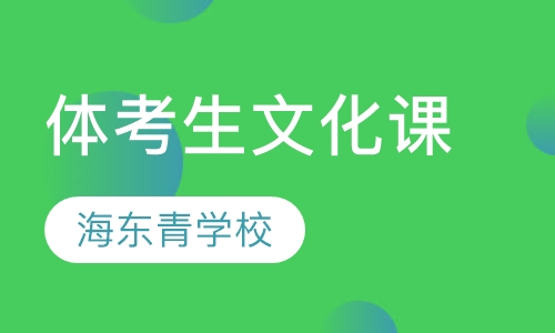 体考生文化课