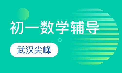 初一数学辅导