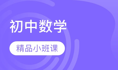 初中数学精品小班课