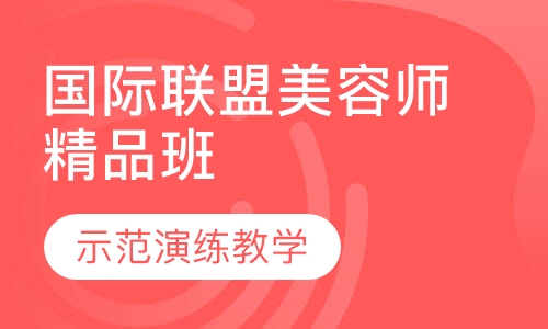 国际联盟师精品班