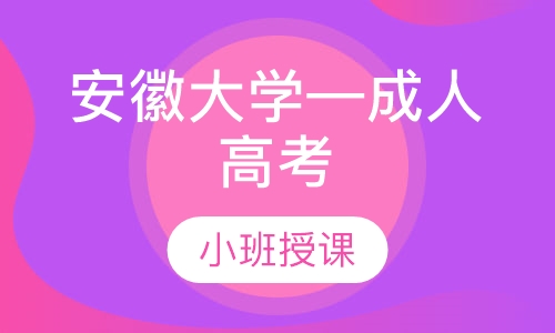 安徽大学—成人高考
