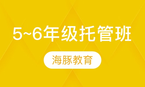 小学5~6年级托管班