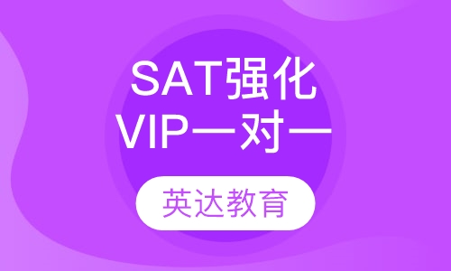 SAT强化VIP一对一