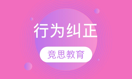 行为纠正