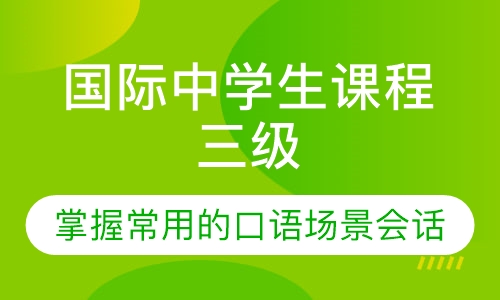 国际中学生课程三级