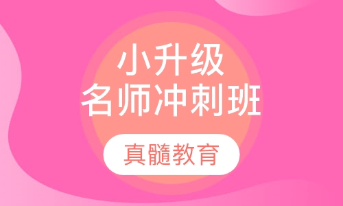 小升级名师冲刺班