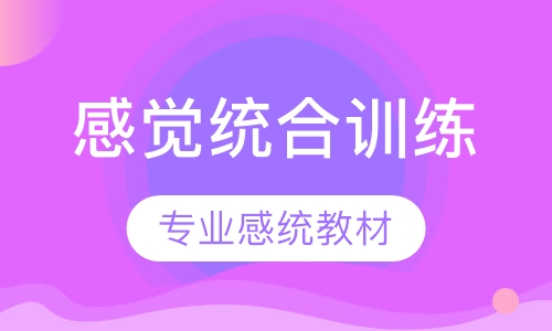 感觉统合训练课程