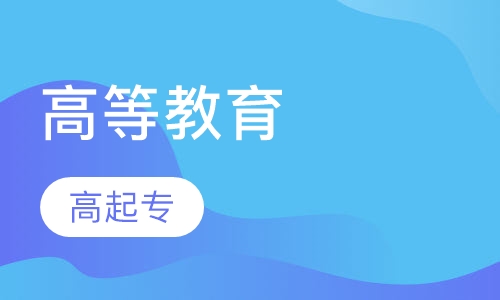 成人高等教育高起专