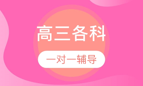 高三各科一对一辅导