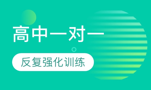 高中一对一辅导