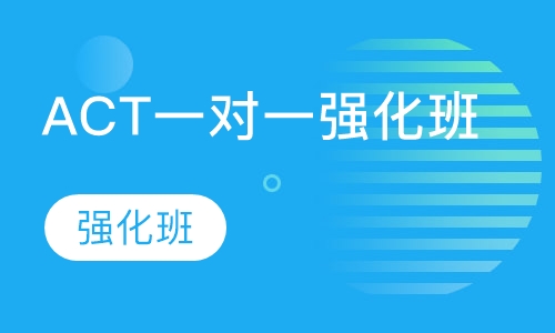 ACT一对一强化班