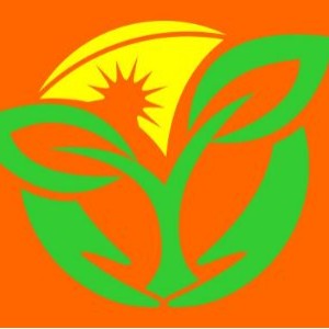 禾盟英语