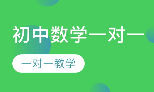 初中数学一对一
