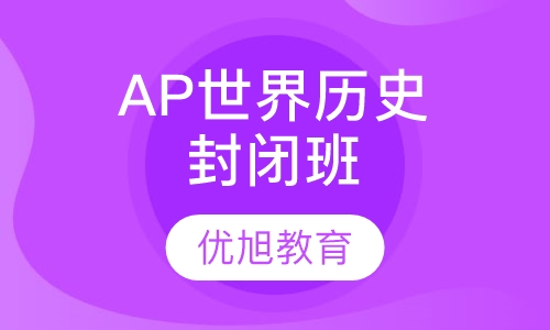 AP 世界历史全脱产封闭班