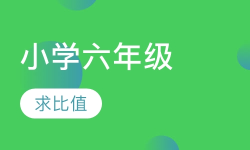 小学六年级数学辅导