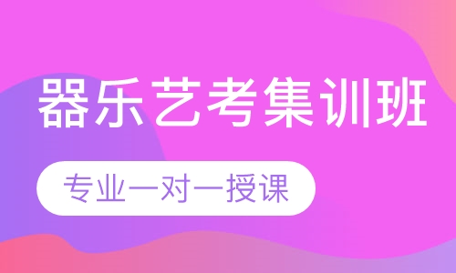 器乐艺考集训班