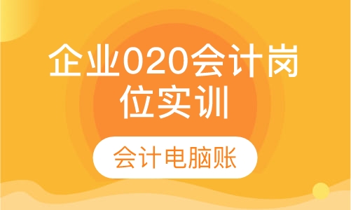 企业020会计岗位实训和会计电脑账