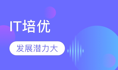 IT培优