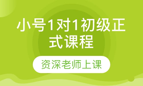 小号1对1初级正式课程