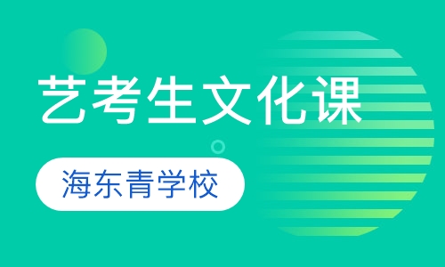 艺考生文化课
