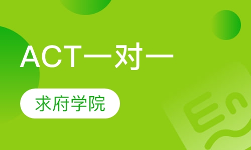 ACT一对一