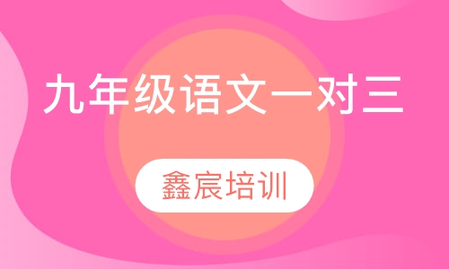 九年级语文一对三