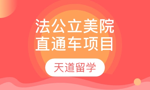 法国公立美院直通车项目