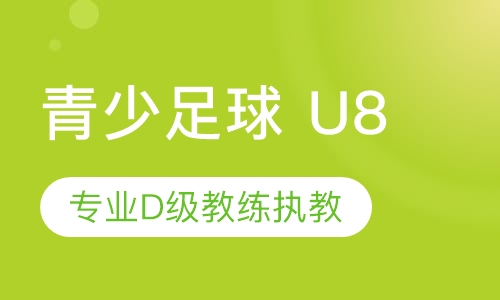 青少足球   U8