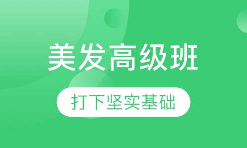 美发高级班