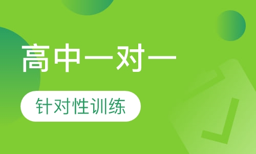 高中一对一辅导