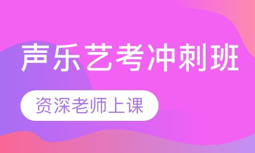 声乐艺考冲刺班