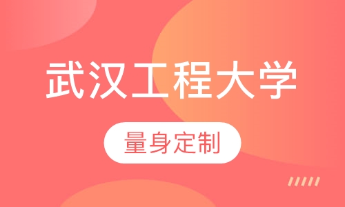 武汉工程大学(在职研究生)