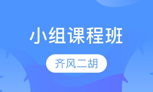 小组课程班