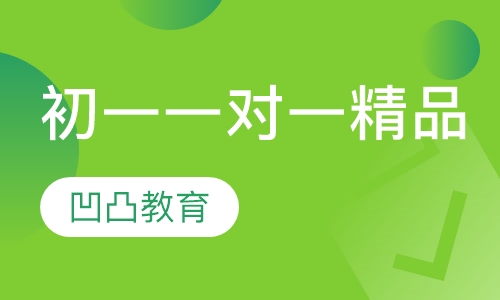 初一一对一精品课程